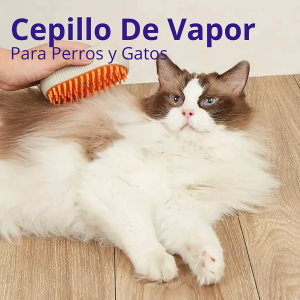 Cepillo Para Mascotas A Vapor Recargable - Imagen 2