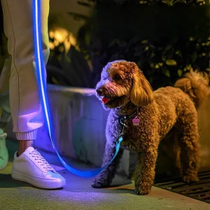 Correa Led Perro Recargable | Correa Luminosa Mascotas