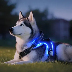 Arnes Led Perro Recargable | Arnes Luminoso Mascotas - M, AZUL