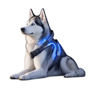 Arnes Led Perro Recargable | Arnes Luminoso Mascotas